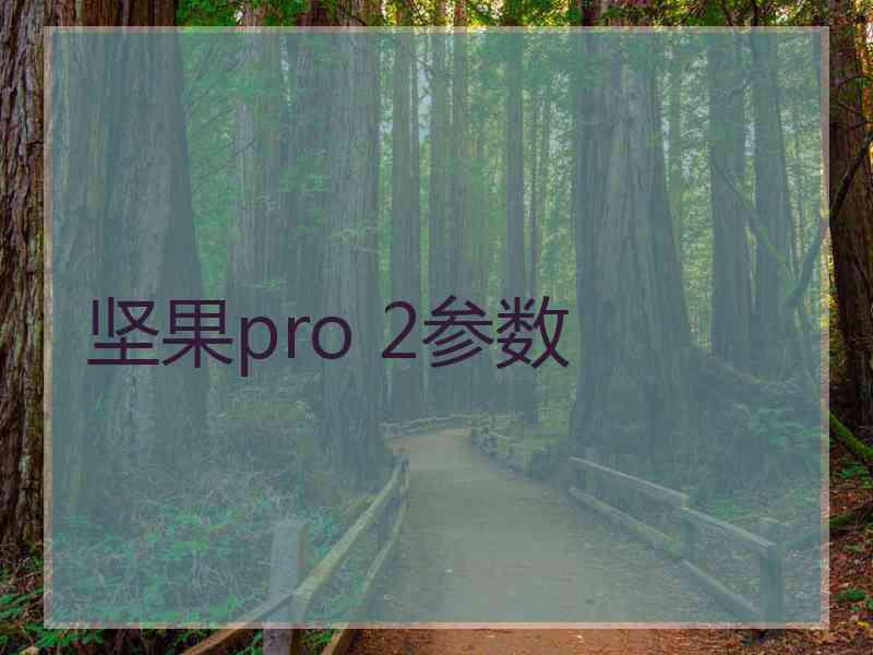 坚果pro 2参数