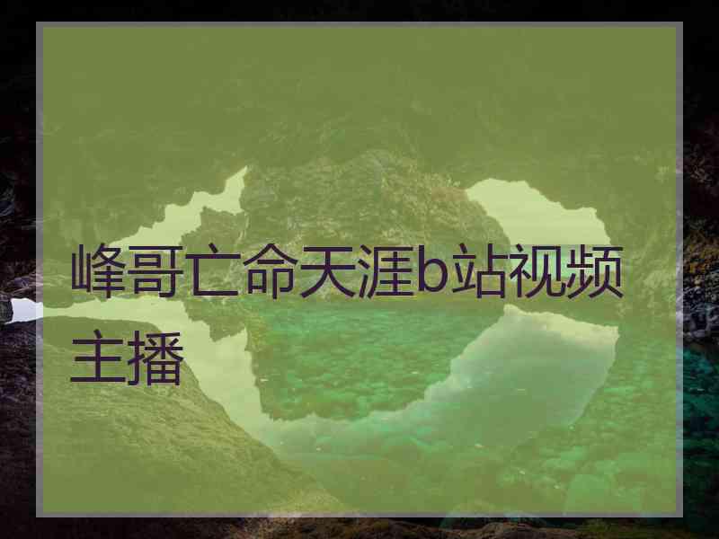 峰哥亡命天涯b站视频主播