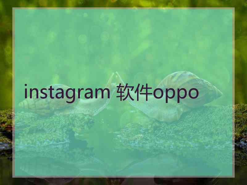 instagram 软件oppo