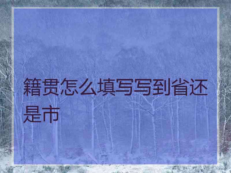 籍贯怎么填写写到省还是市