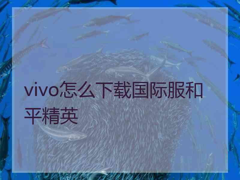 vivo怎么下载国际服和平精英