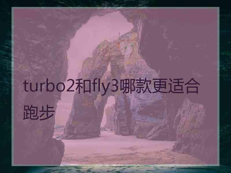 turbo2和fly3哪款更适合跑步