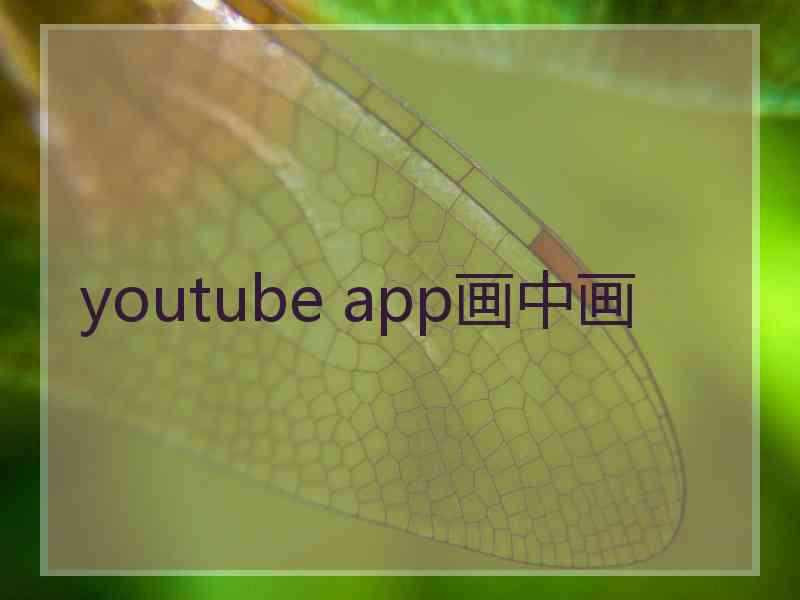 youtube app画中画