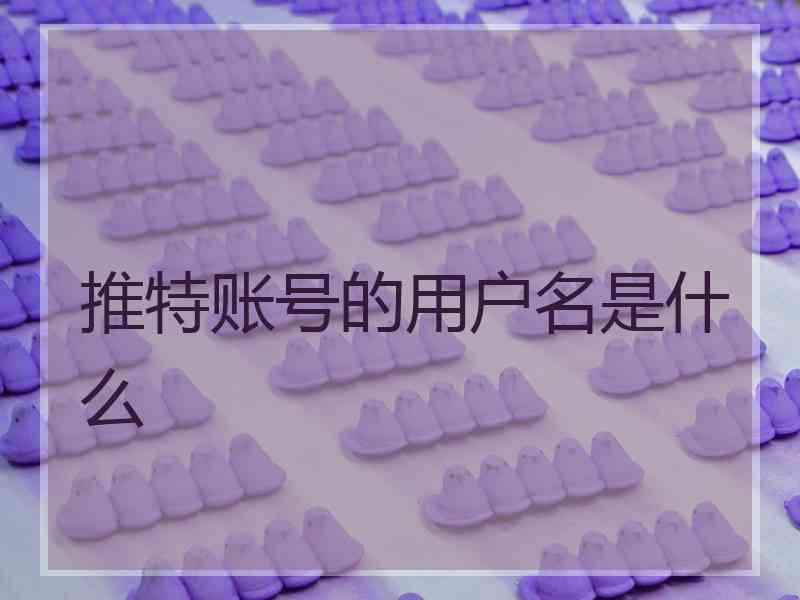 推特账号的用户名是什么