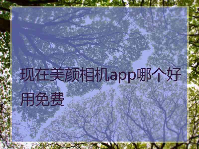 现在美颜相机app哪个好用免费