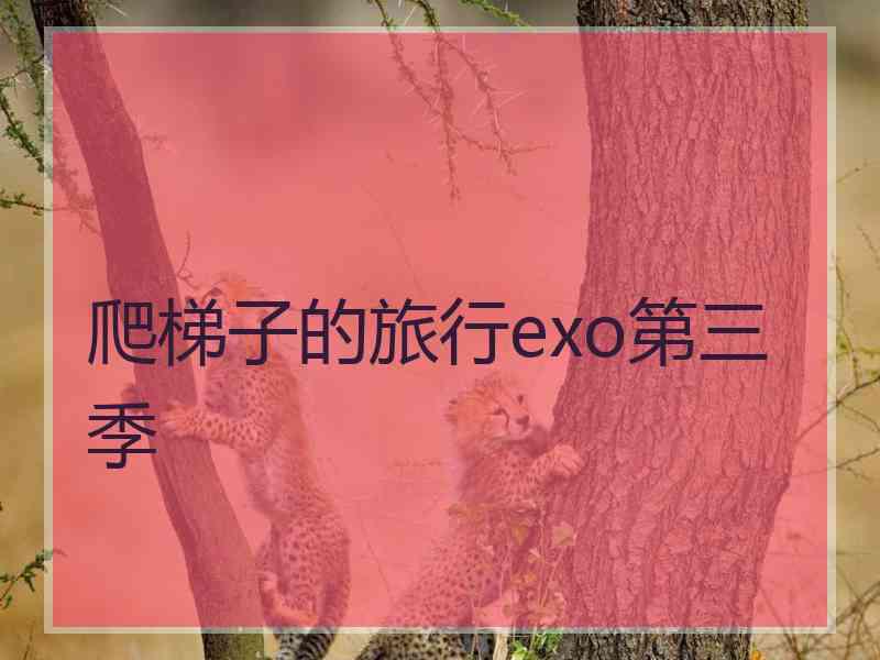 爬梯子的旅行exo第三季