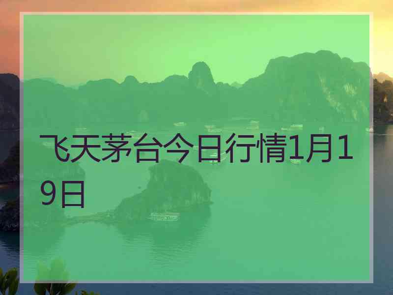 飞天茅台今日行情1月19日