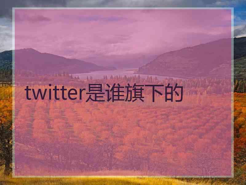 twitter是谁旗下的