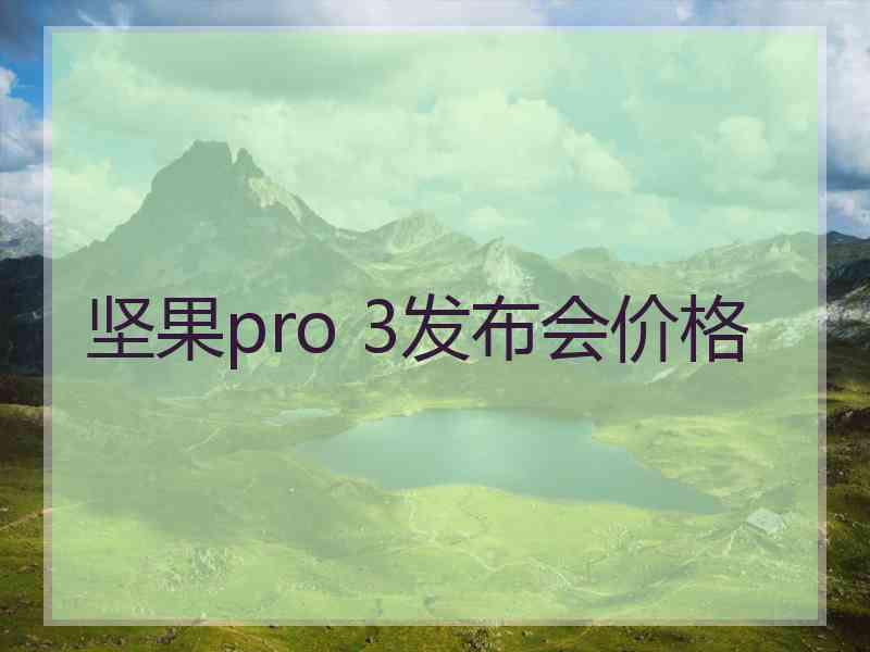 坚果pro 3发布会价格