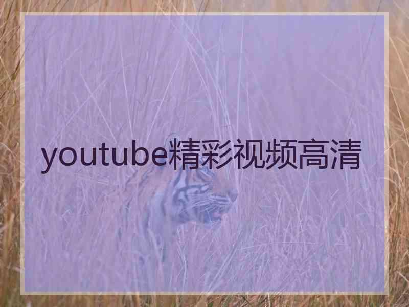 youtube精彩视频高清