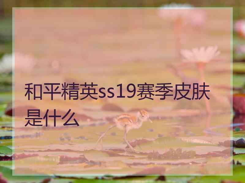 和平精英ss19赛季皮肤是什么