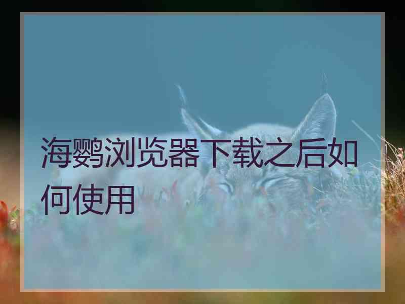 海鹦浏览器下载之后如何使用