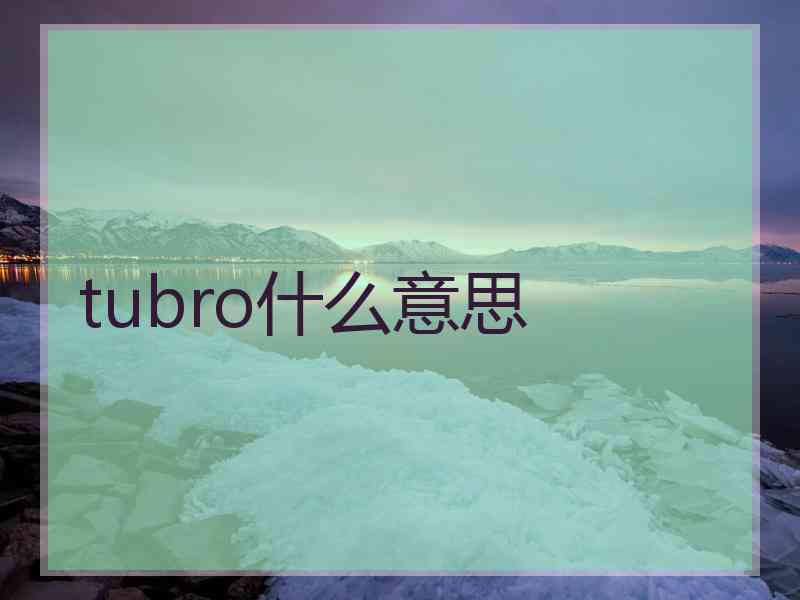 tubro什么意思