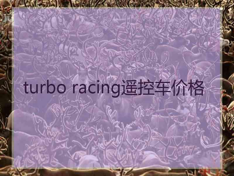 turbo racing遥控车价格