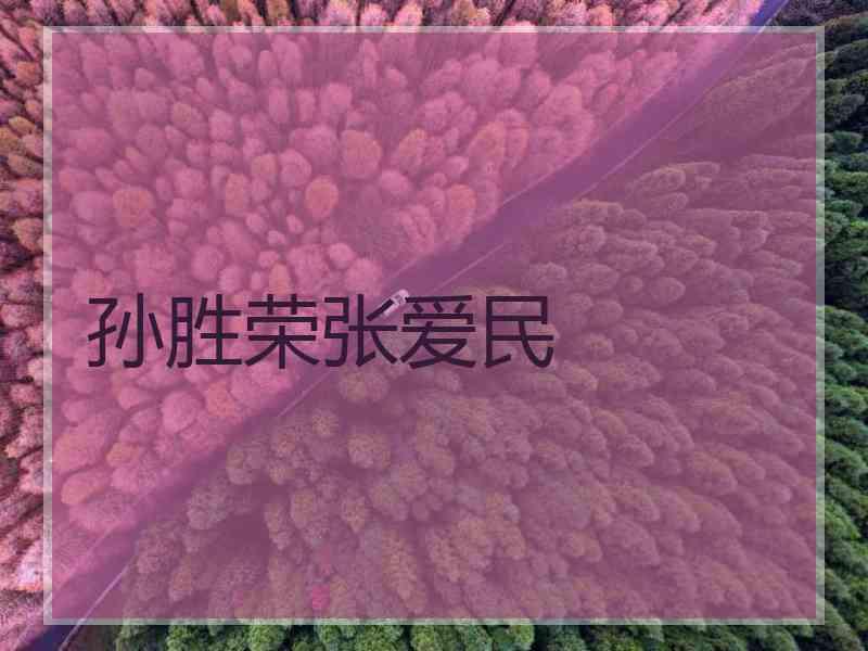 孙胜荣张爱民