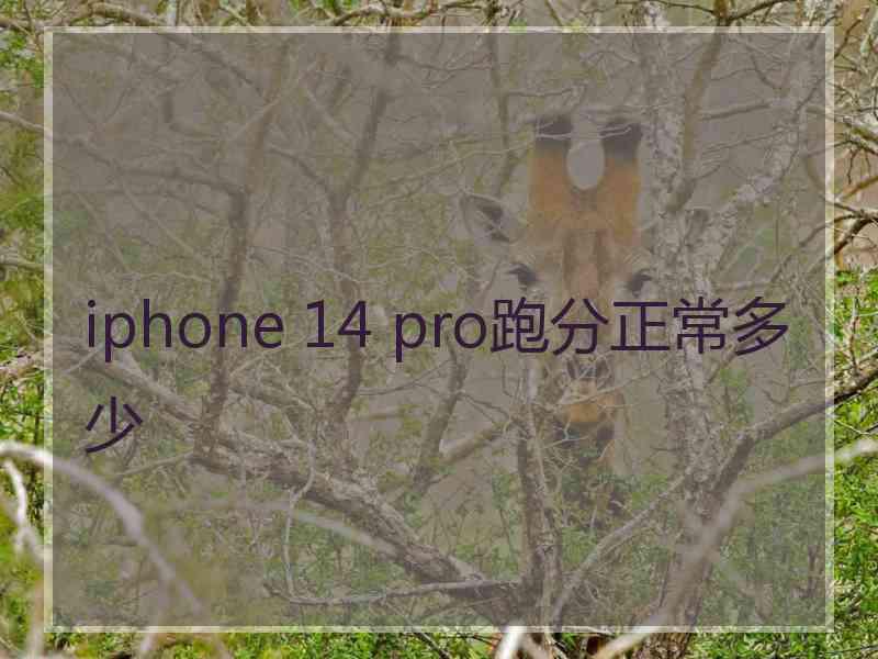 iphone 14 pro跑分正常多少