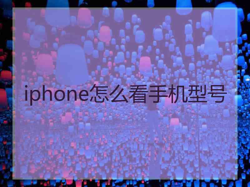 iphone怎么看手机型号