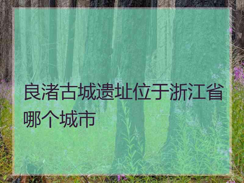 良渚古城遗址位于浙江省哪个城市