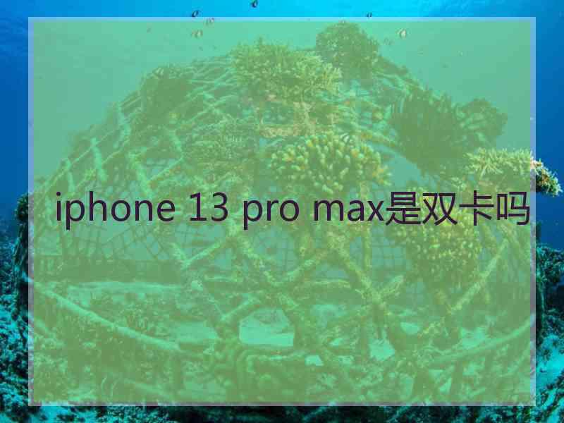 iphone 13 pro max是双卡吗