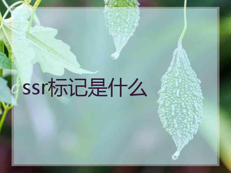 ssr标记是什么