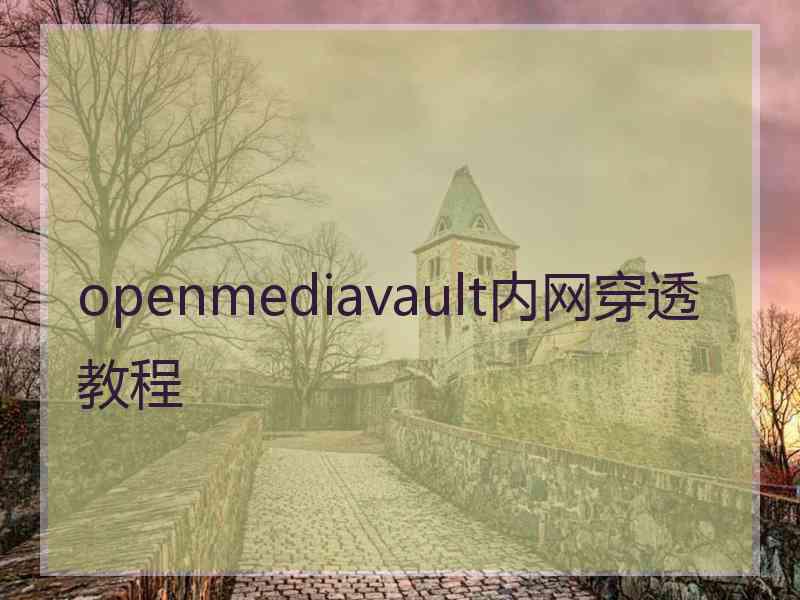 openmediavault内网穿透教程