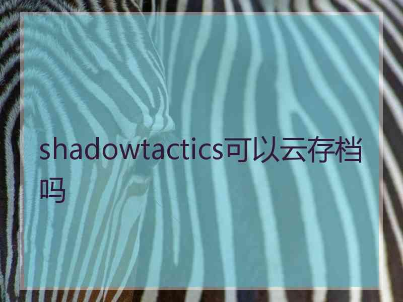 shadowtactics可以云存档吗