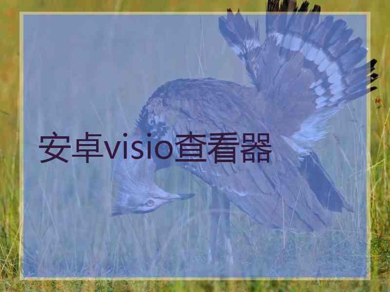 安卓visio查看器