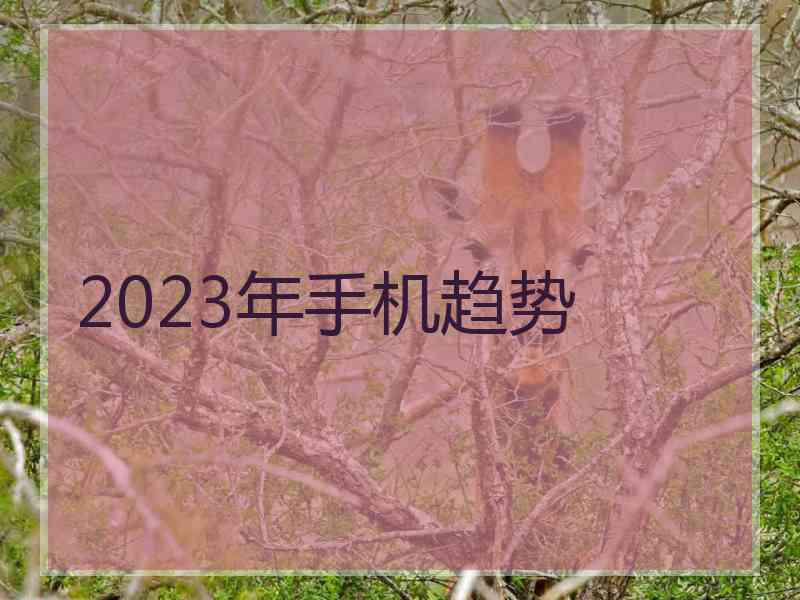 2023年手机趋势