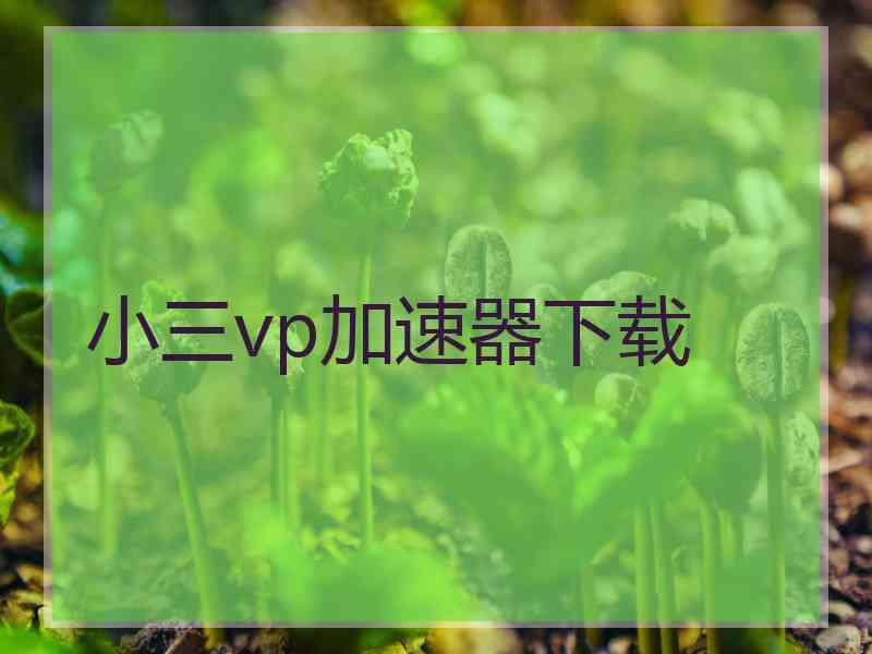 小三vp加速器下载