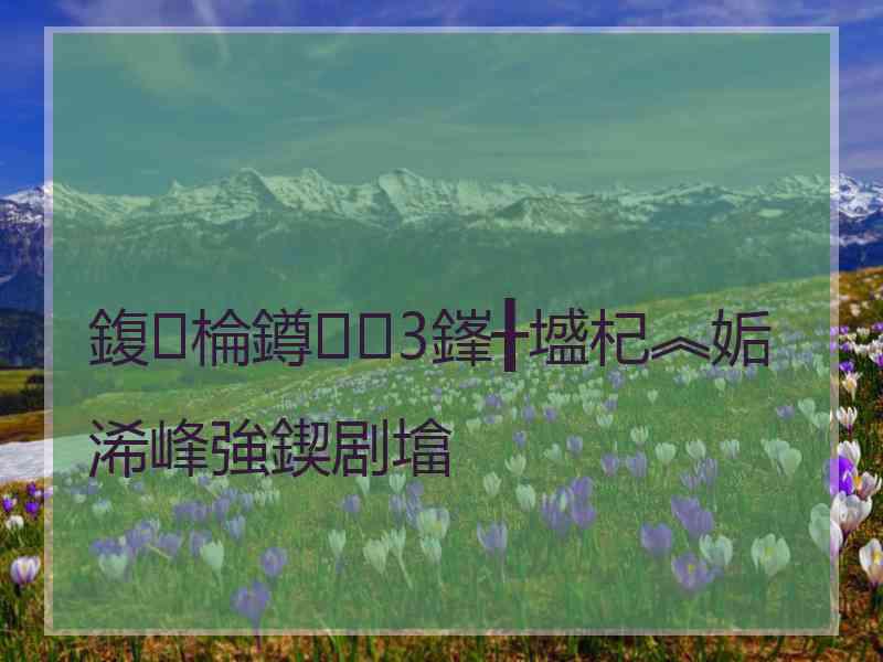 鍑棆鐏3鎽╂墭杞︽姤浠峰強鍥剧墖