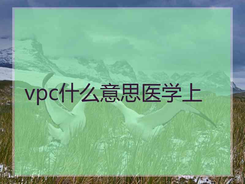 vpc什么意思医学上