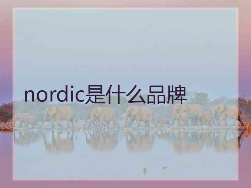 nordic是什么品牌