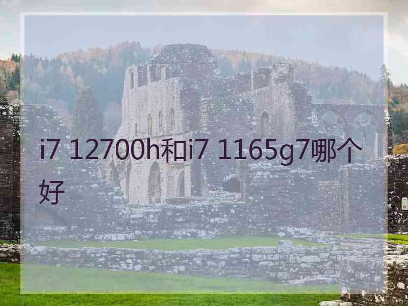 i7 12700h和i7 1165g7哪个好