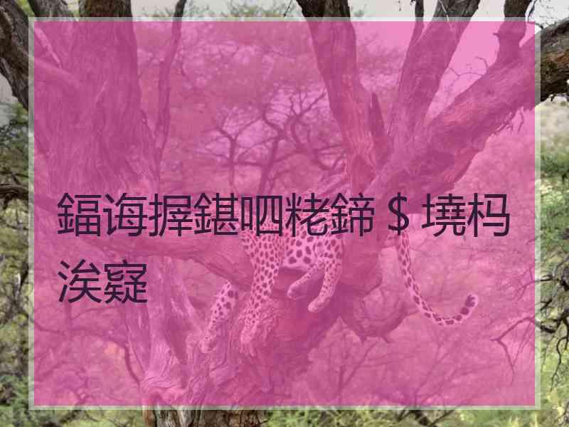 鍢诲搱鍖呬粩鍗＄墝杩涘寲