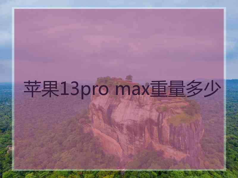 苹果13pro max重量多少