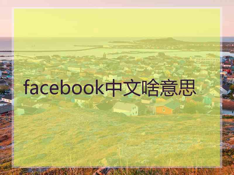 facebook中文啥意思