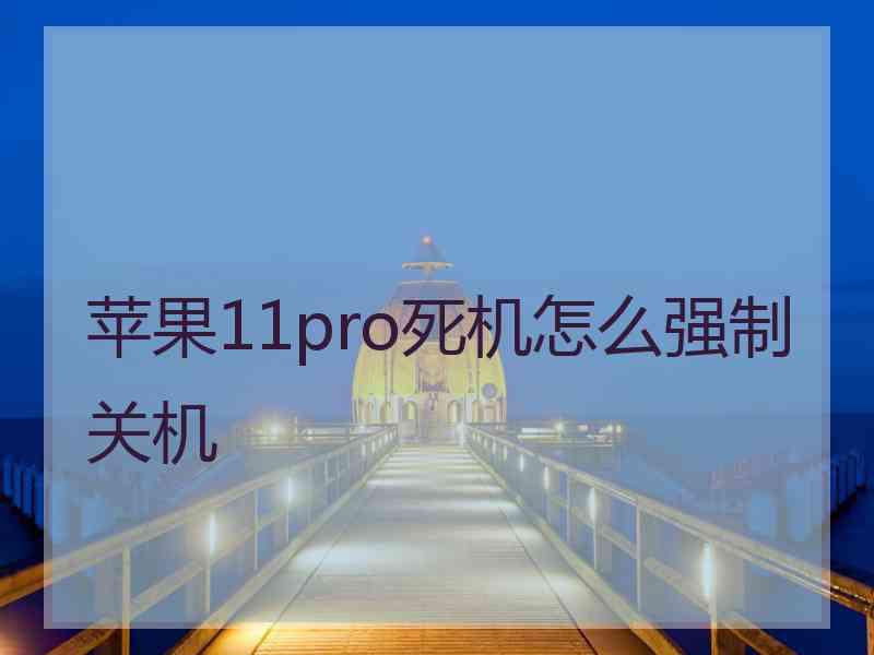 苹果11pro死机怎么强制关机