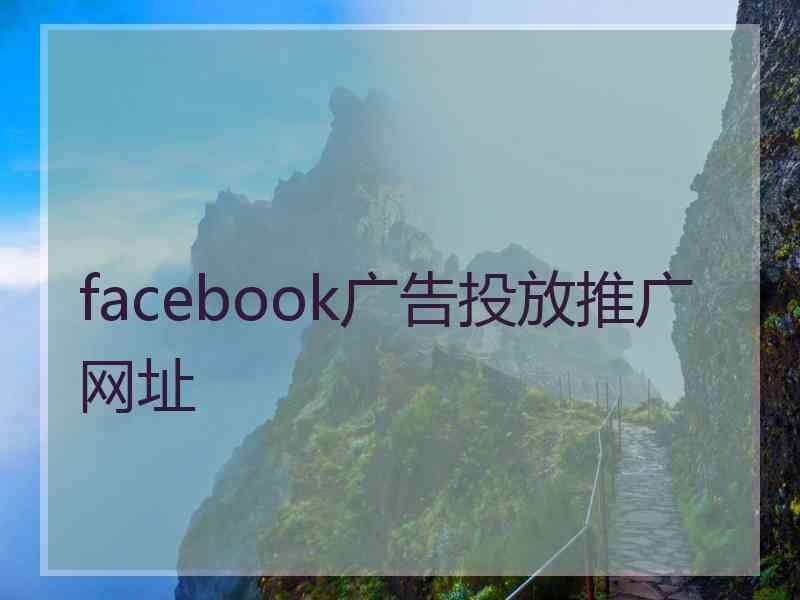 facebook广告投放推广网址