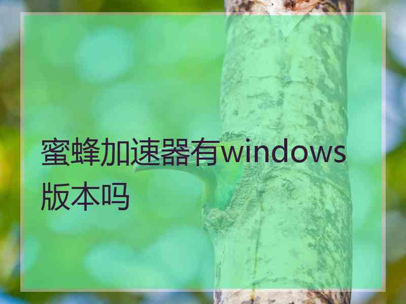 蜜蜂加速器有windows版本吗