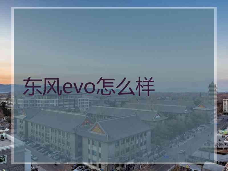 东风evo怎么样