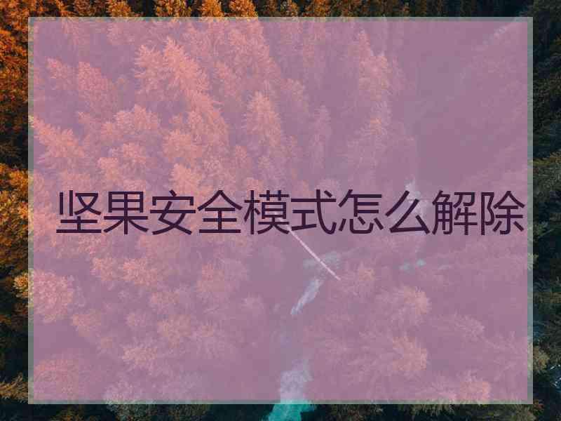 坚果安全模式怎么解除