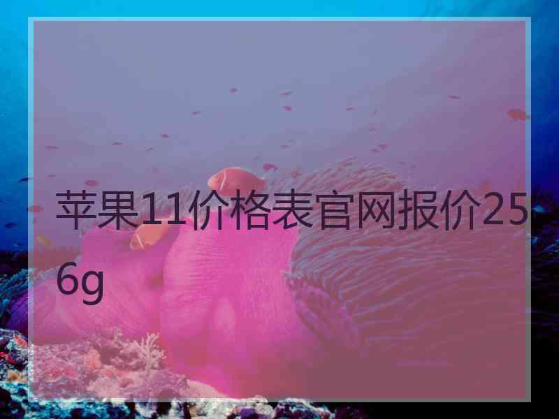 苹果11价格表官网报价256g