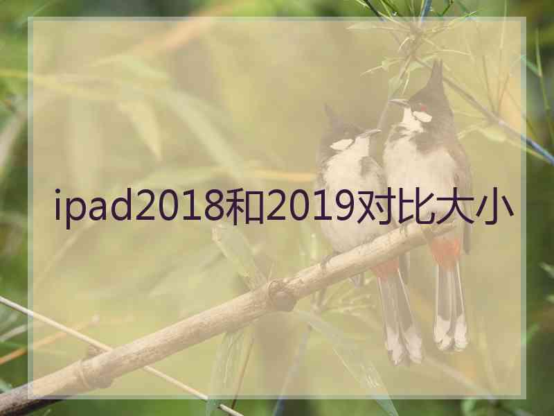 ipad2018和2019对比大小