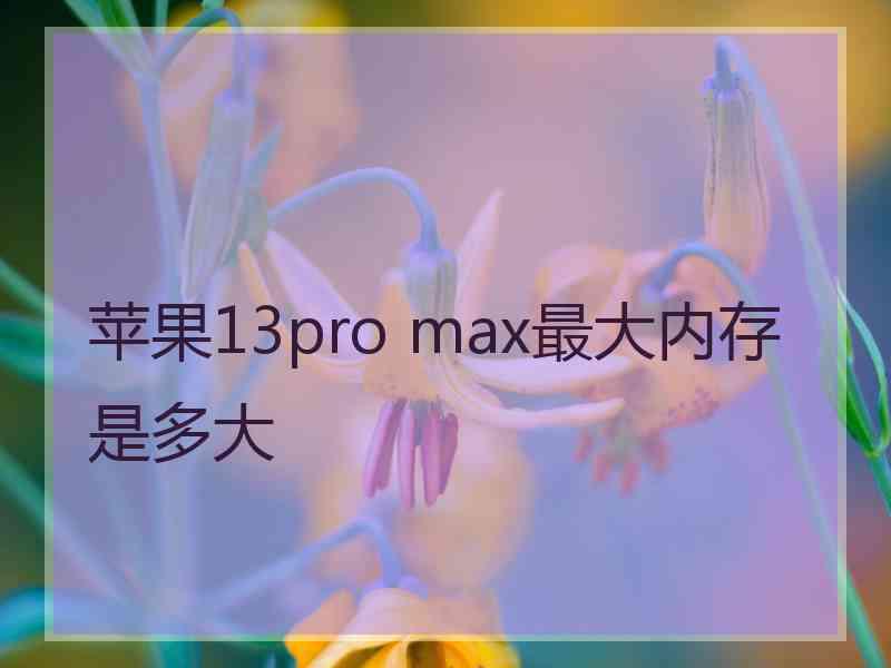 苹果13pro max最大内存是多大