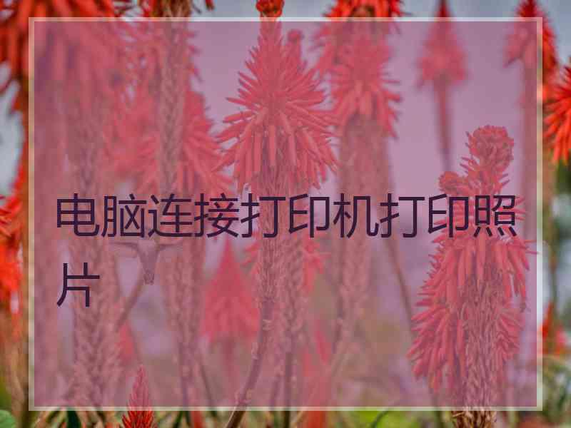 电脑连接打印机打印照片