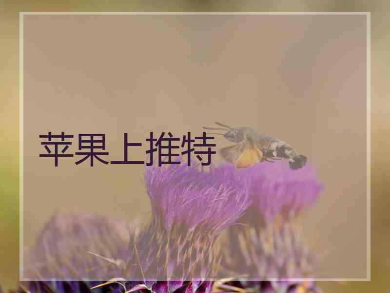 苹果上推特