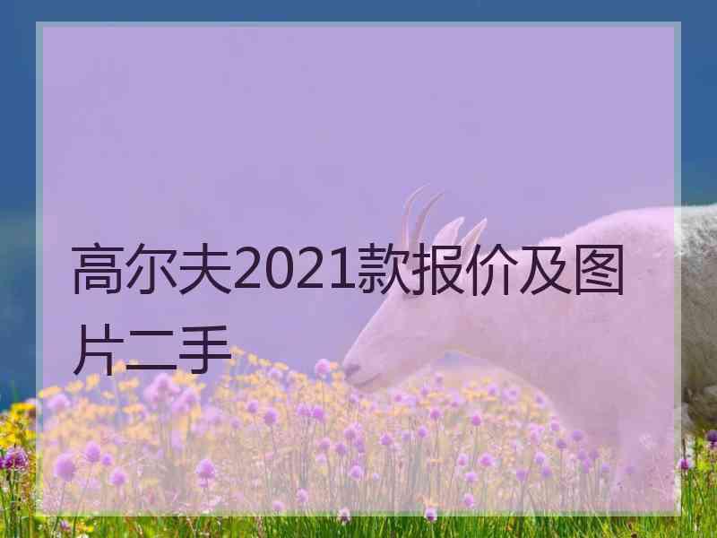 高尔夫2021款报价及图片二手