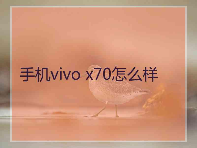 手机vivo x70怎么样