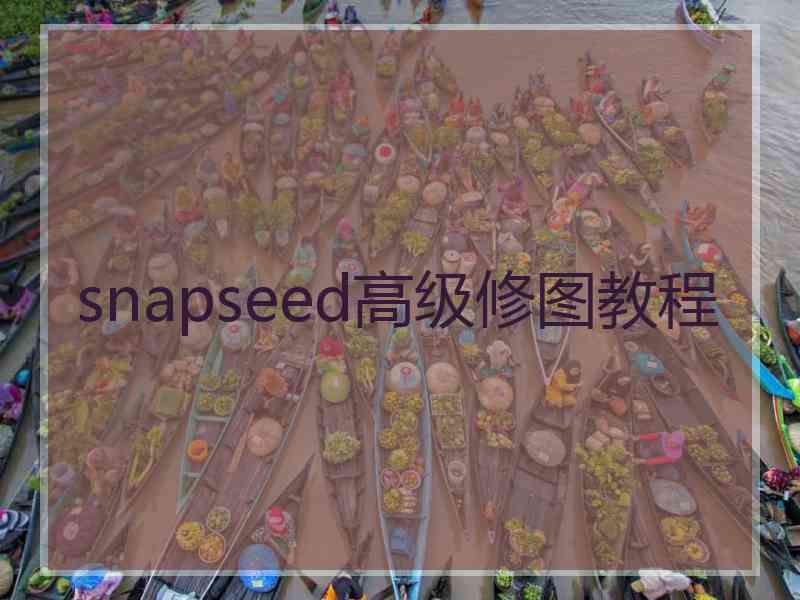 snapseed高级修图教程