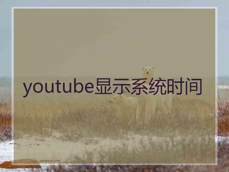 youtube显示系统时间